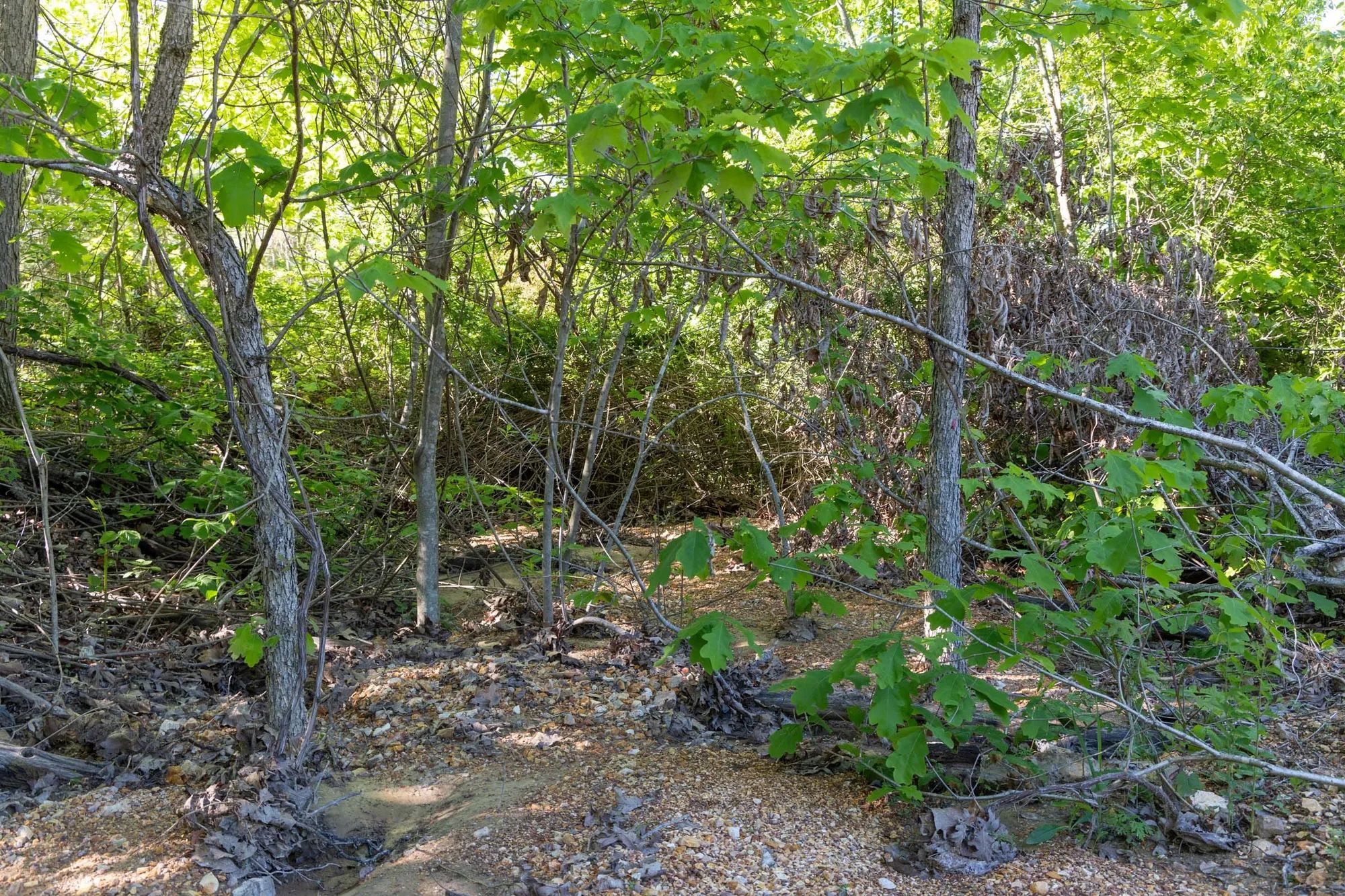 Sleepy Hollow Phase II Tract 62 in Texas County, MO