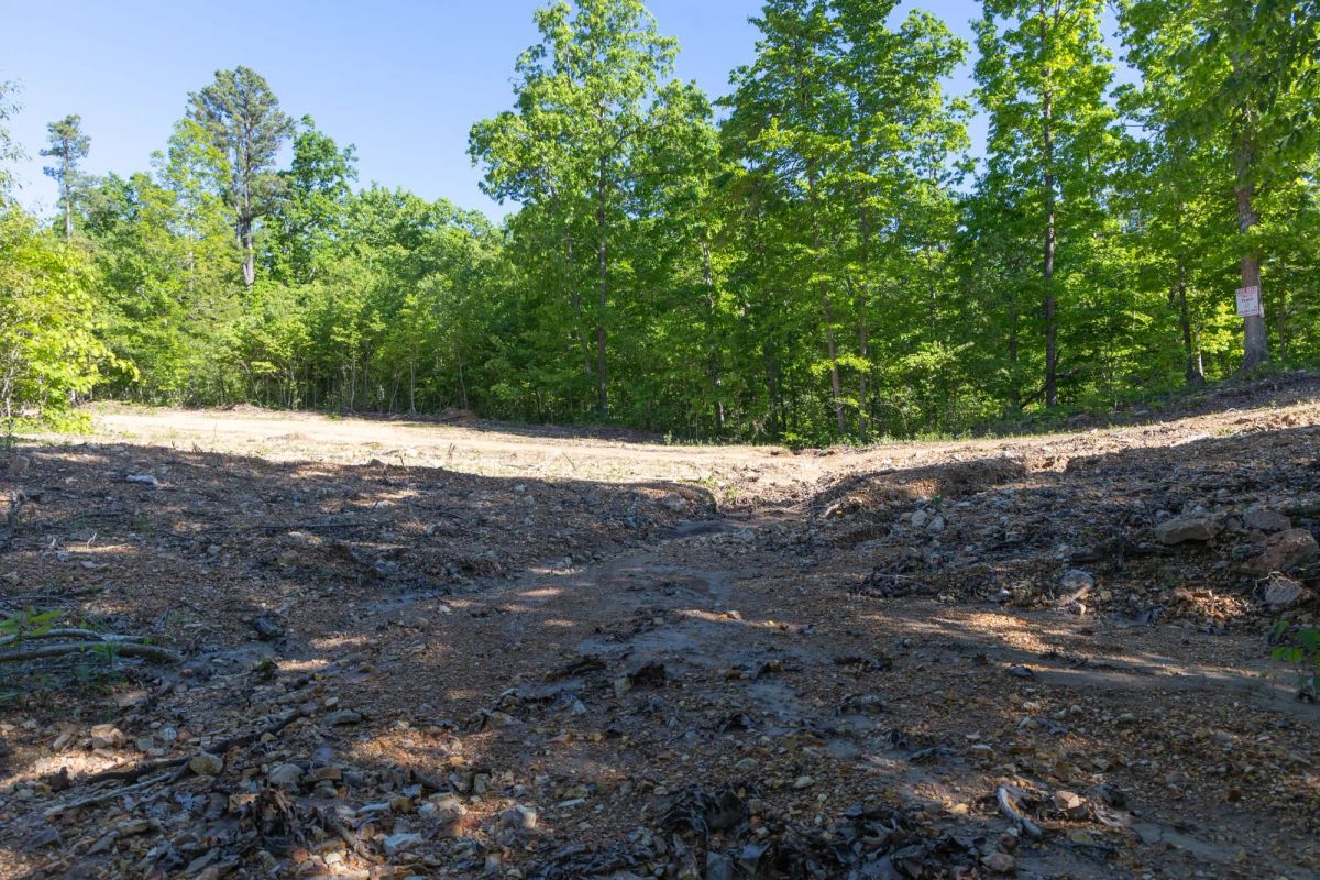 Decorative background for Sleepy Hollow Phase II Tract 62 image 6