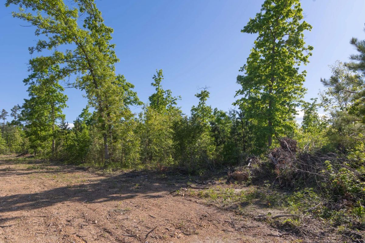 Decorative background for Sleepy Hollow Phase II Tract 62 image 8