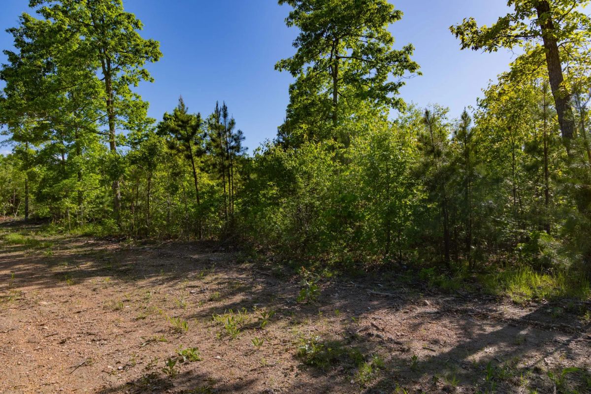 Decorative background for Sleepy Hollow Phase II Tract 62 image 9