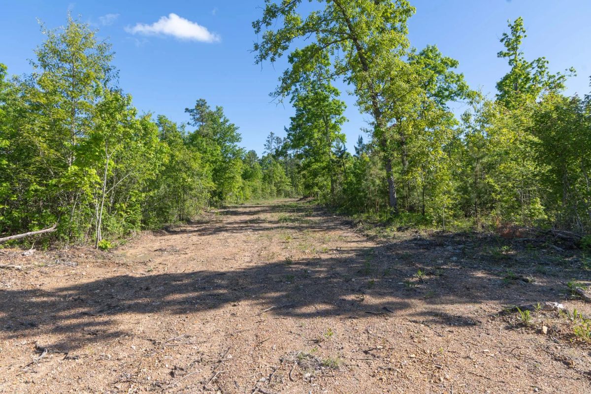 Decorative background for Sleepy Hollow Phase II Tract 62 image 10