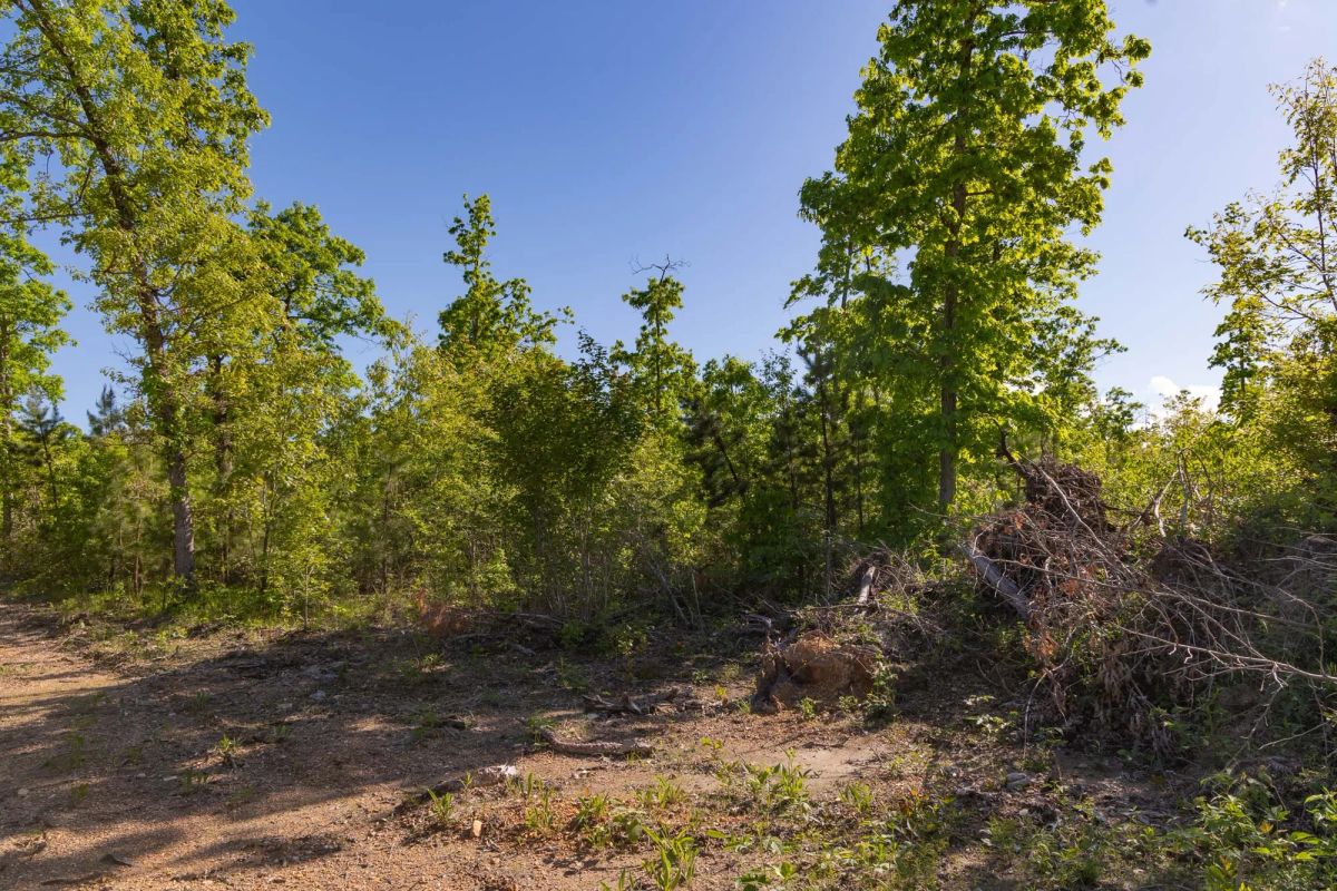 Decorative background for Sleepy Hollow Phase II Tract 62 image 11