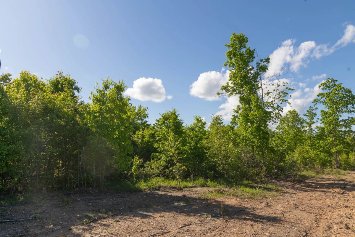 Decorative background for Sleepy Hollow Phase II Tract 62 image 12