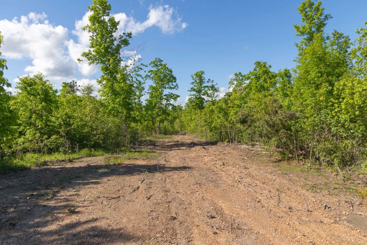 Decorative background for Sleepy Hollow Phase II Tract 62 image 15