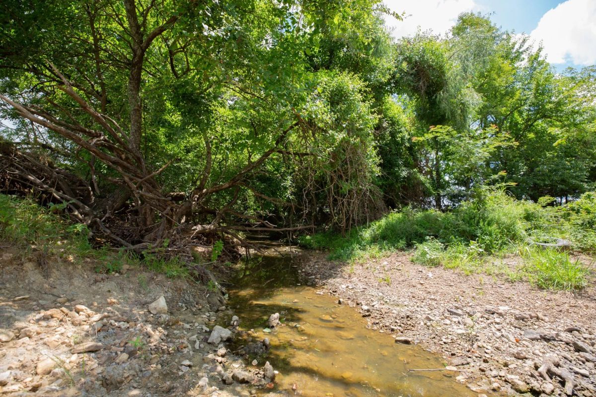 Paradise Valley Tract 4 - Image 2