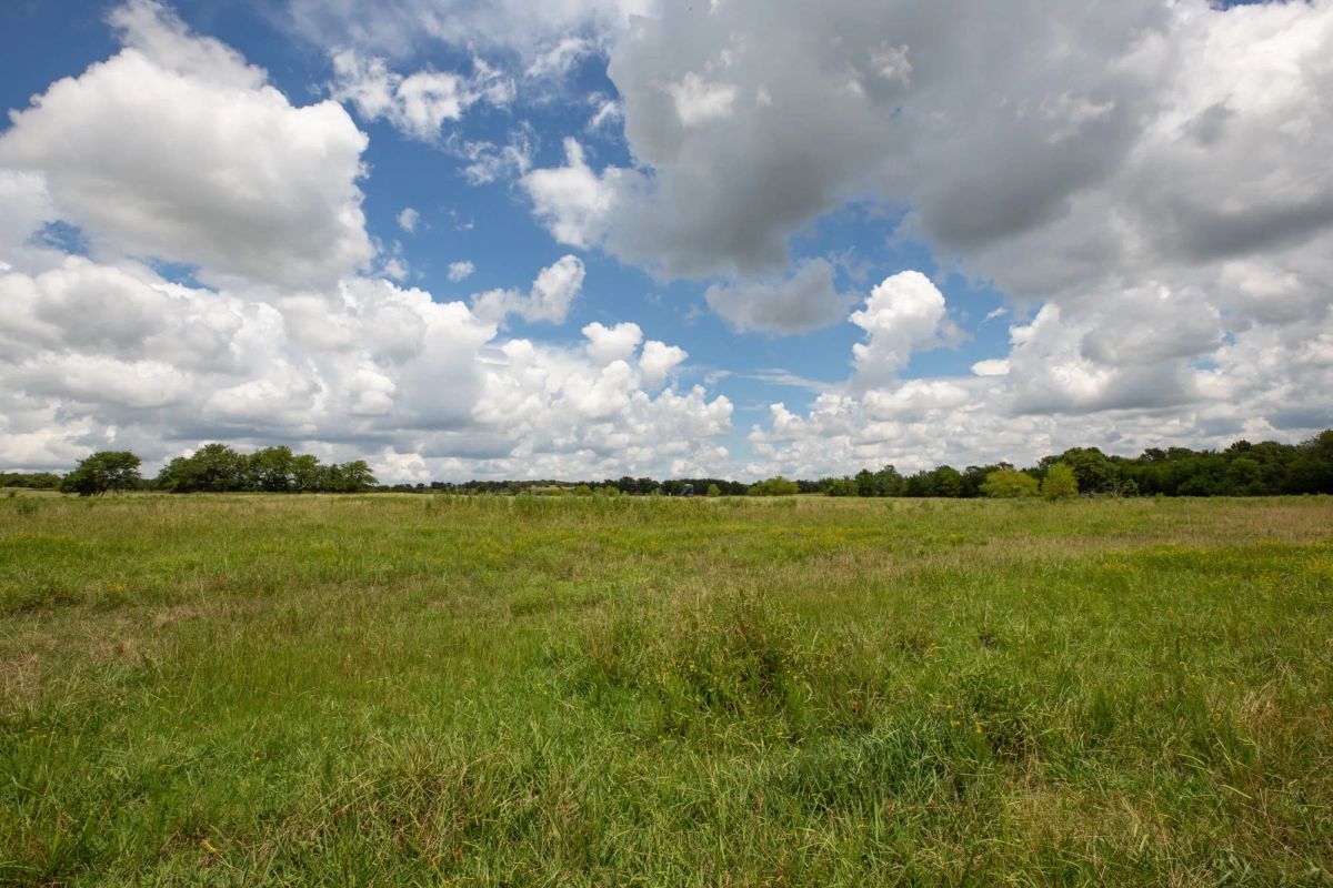 Paradise Valley Tract 4 - Image 3