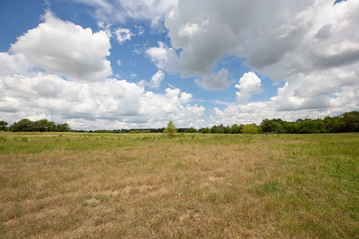 Paradise Valley Tract 4 - Image 4