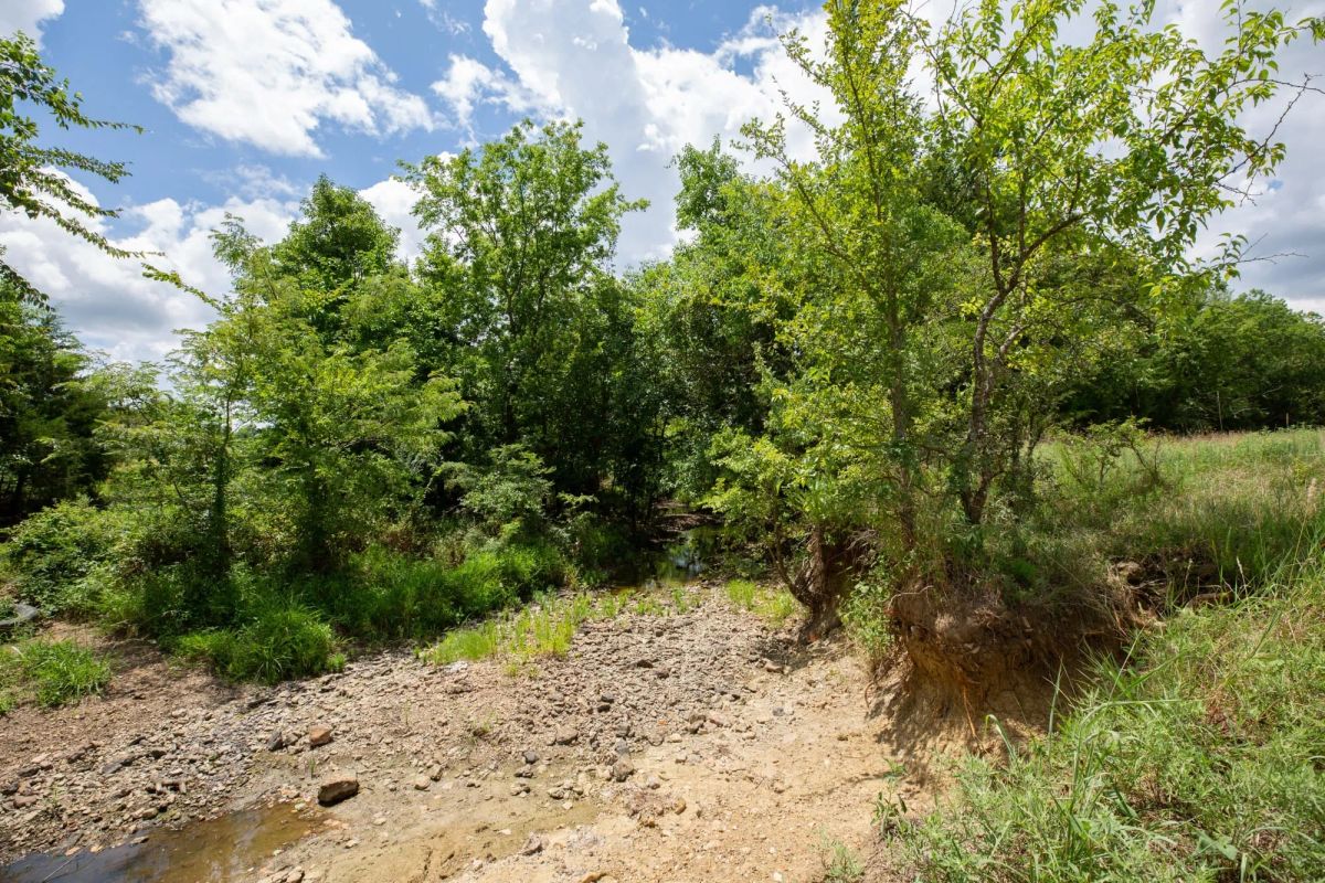 Decorative background for Paradise Valley Tract 4 image 5