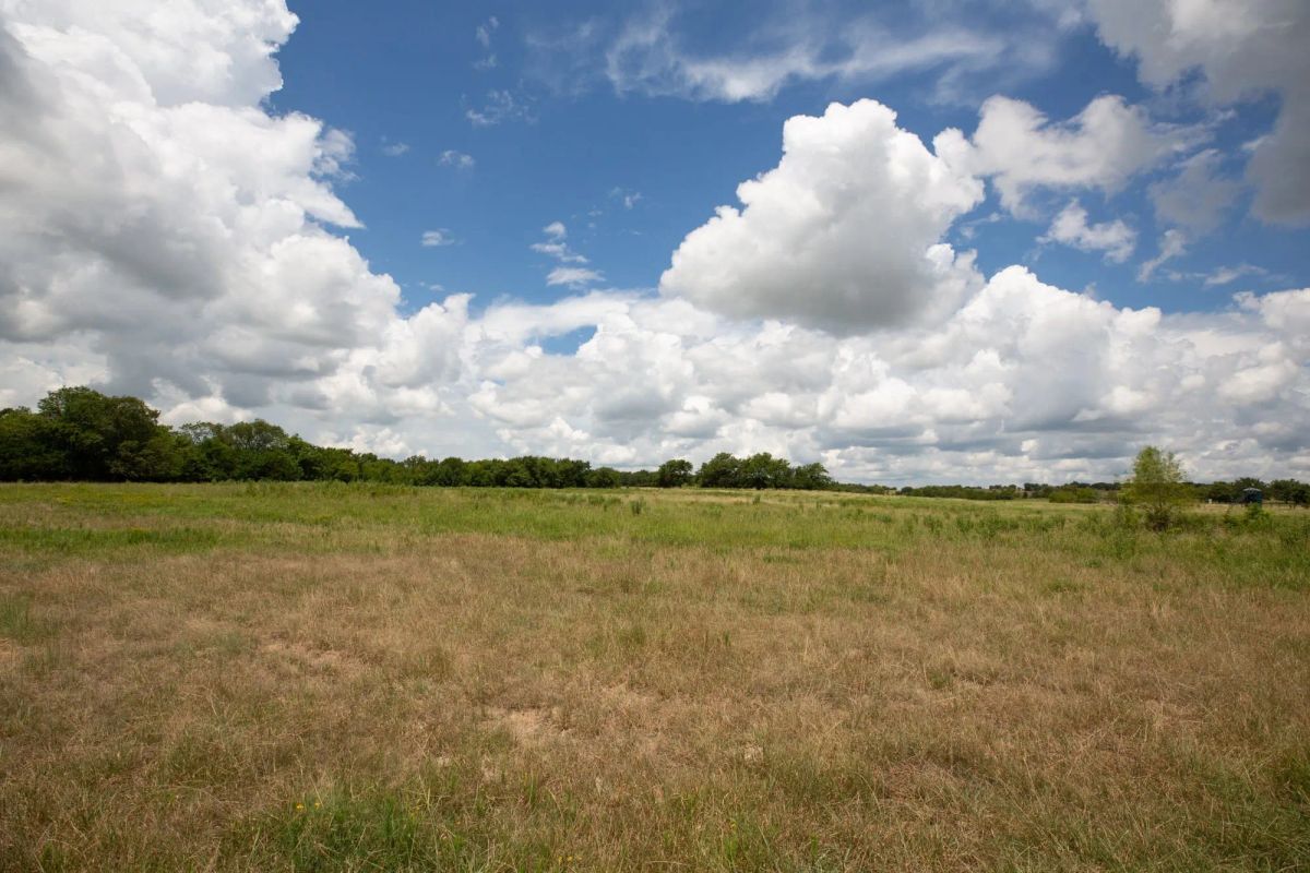 Decorative background for Paradise Valley Tract 4 image 6