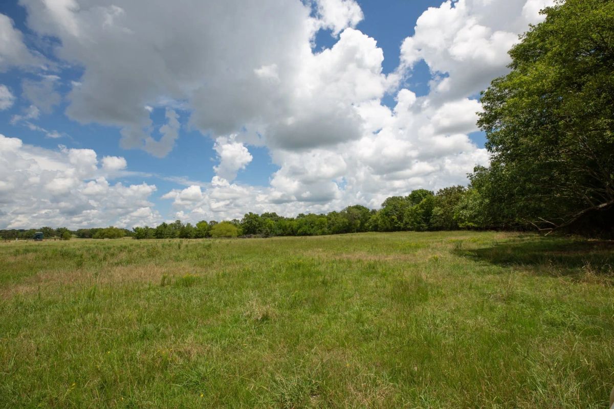 Decorative background for Paradise Valley Tract 4 image 7