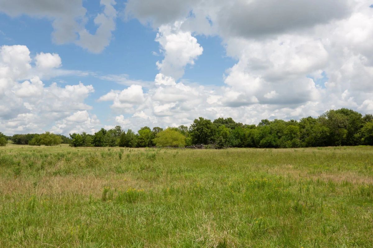 Decorative background for Paradise Valley Tract 4 image 9