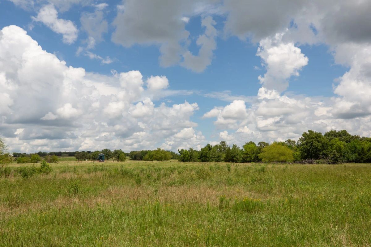 Decorative background for Paradise Valley Tract 4 image 10
