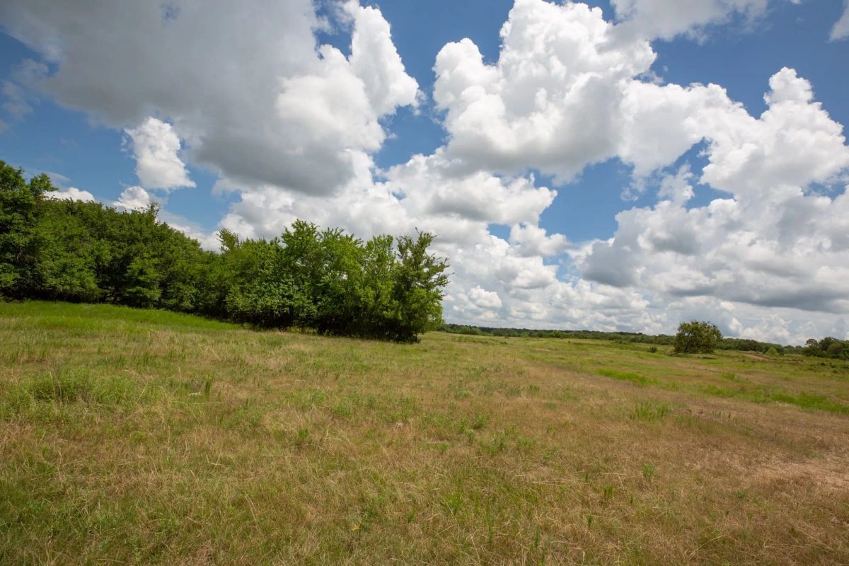 Decorative background for Paradise Valley Tract 4 image 11