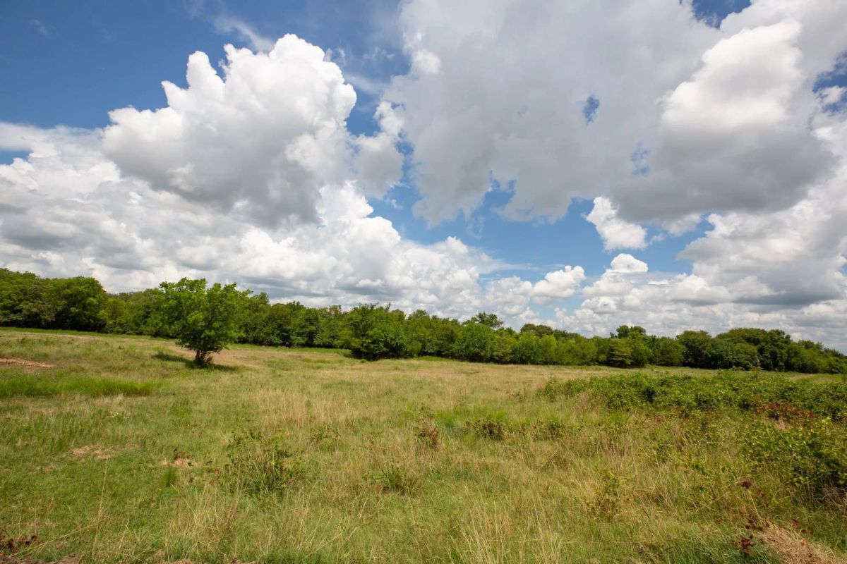 Decorative background for Paradise Valley Tract 4 image 12