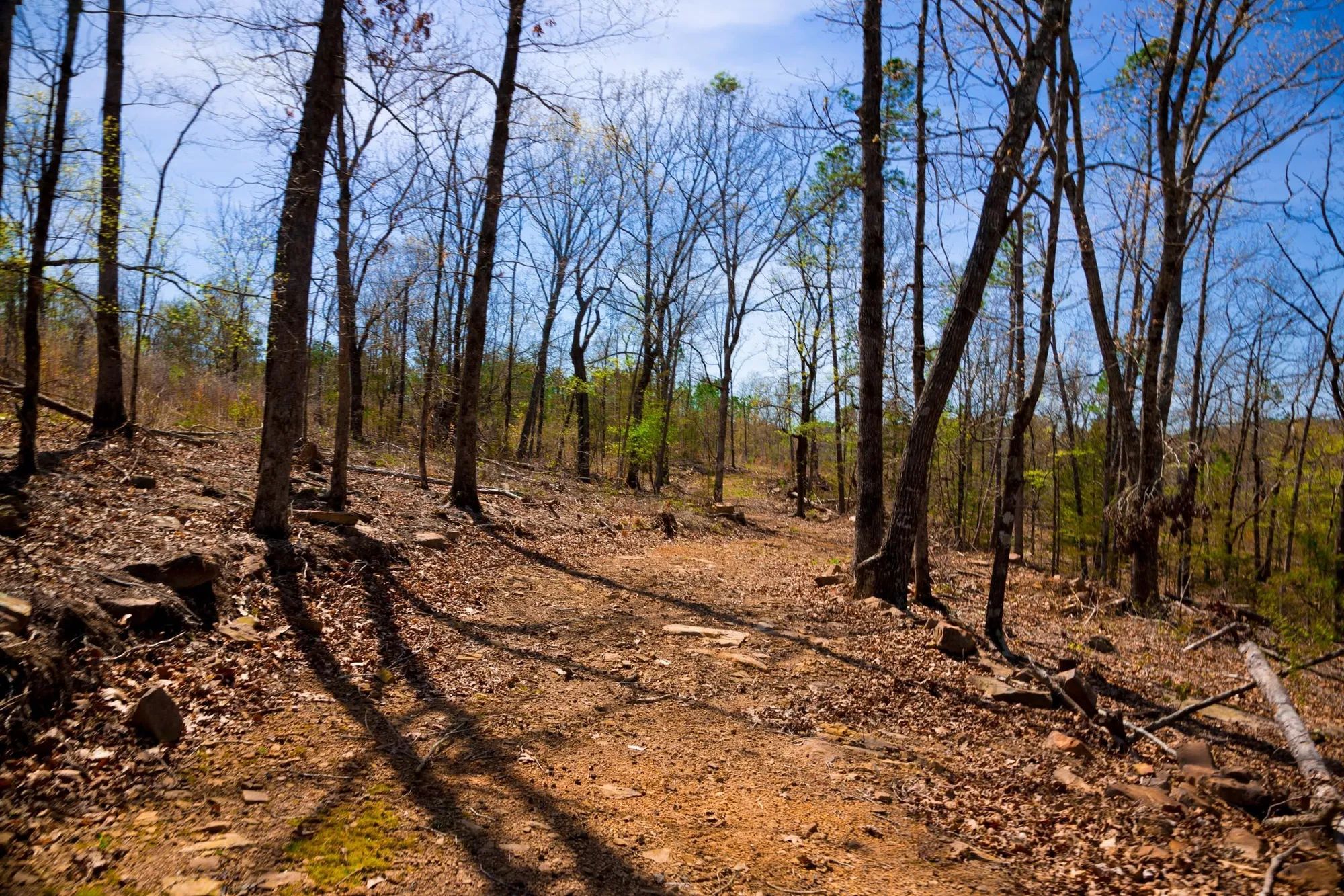 Stone Creek Phase II Tract 221 in Latimer County, OK