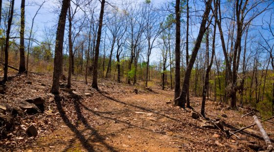 Stone Creek Phase II Tract 221 in Latimer County, OK
