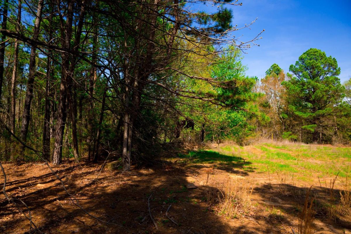 Decorative background for Stone Creek Phase II Tract 221 image 9