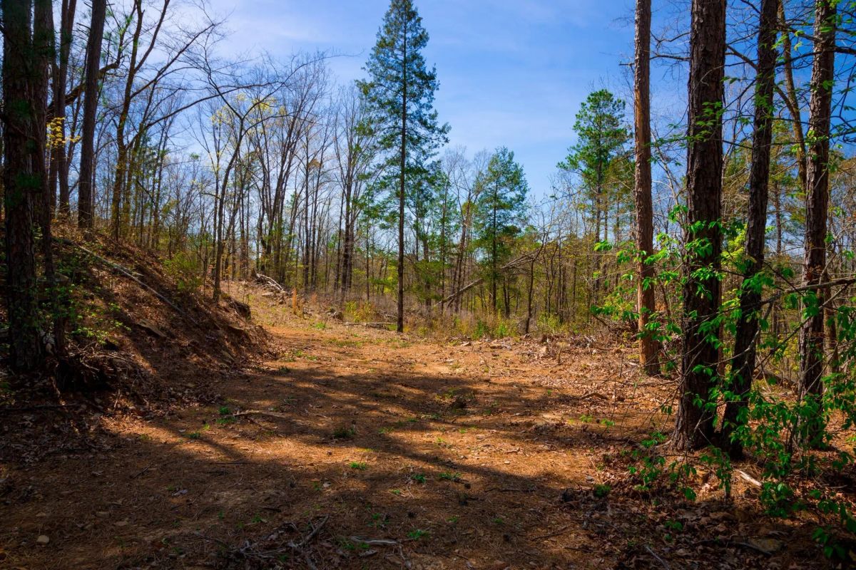 Decorative background for Stone Creek Phase II Tract 221 image 10