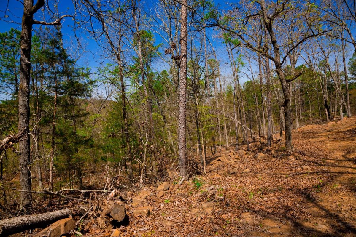 Decorative background for Stone Creek Phase II Tract 221 image 14