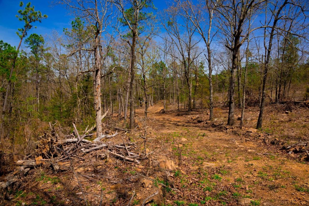 Decorative background for Stone Creek Phase II Tract 221 image 15
