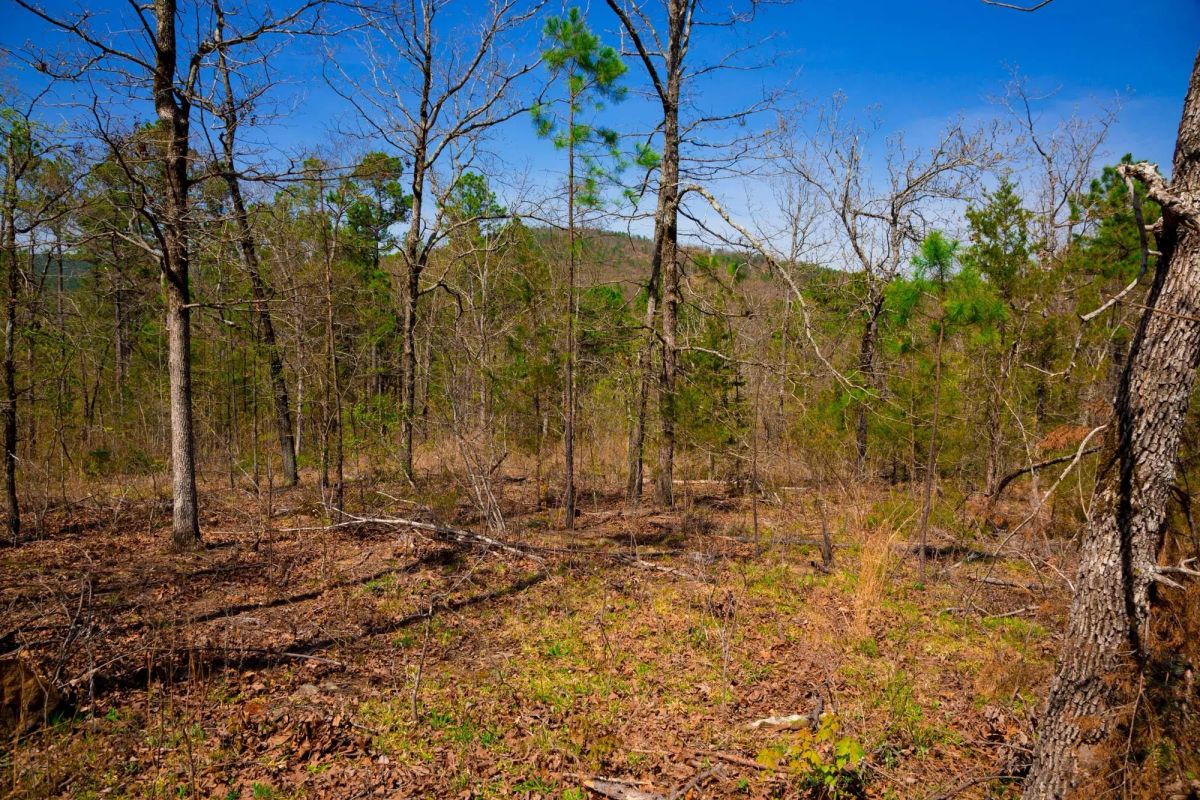 Decorative background for Stone Creek Phase II Tract 221 image 16