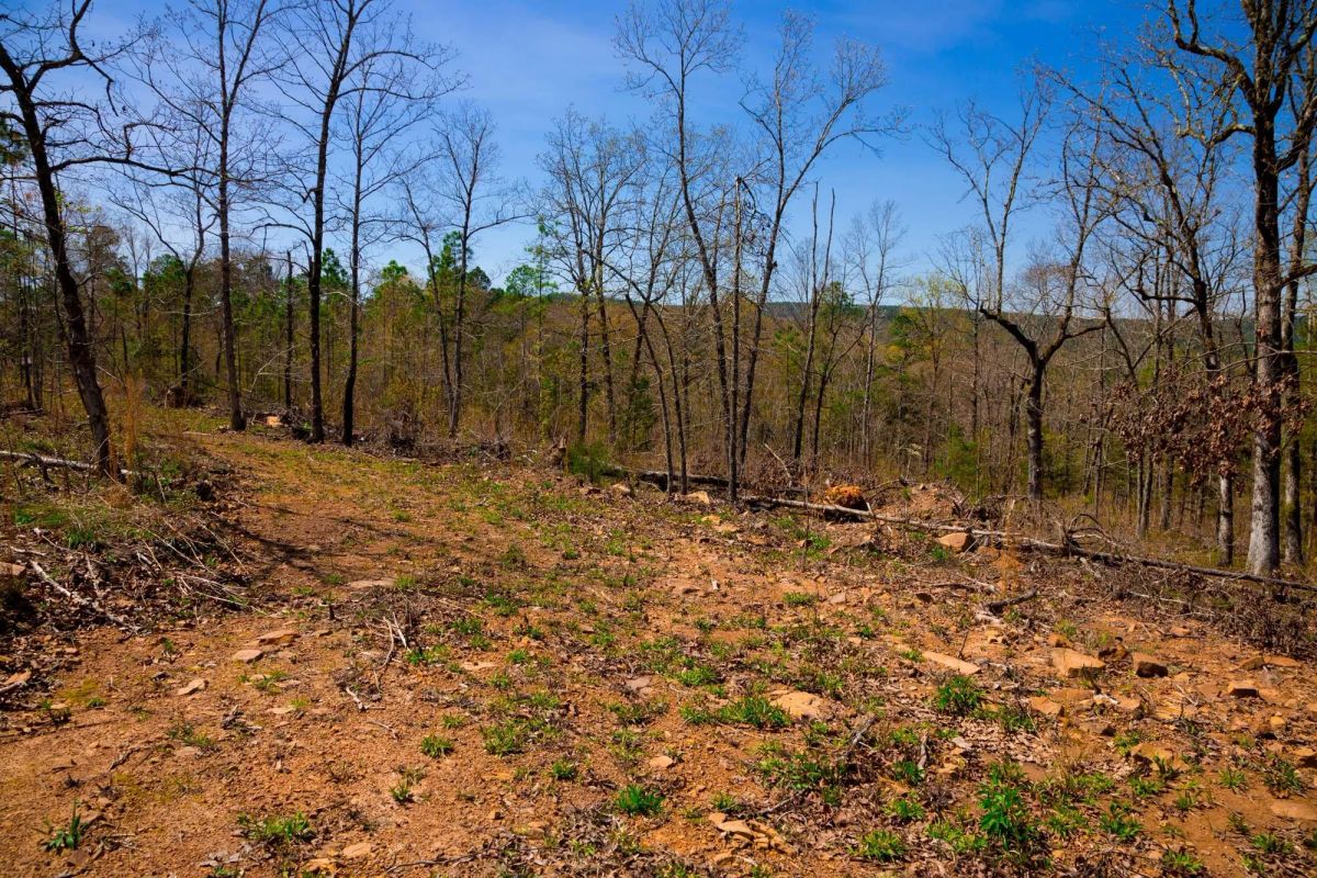 Decorative background for Stone Creek Phase II Tract 221 image 17