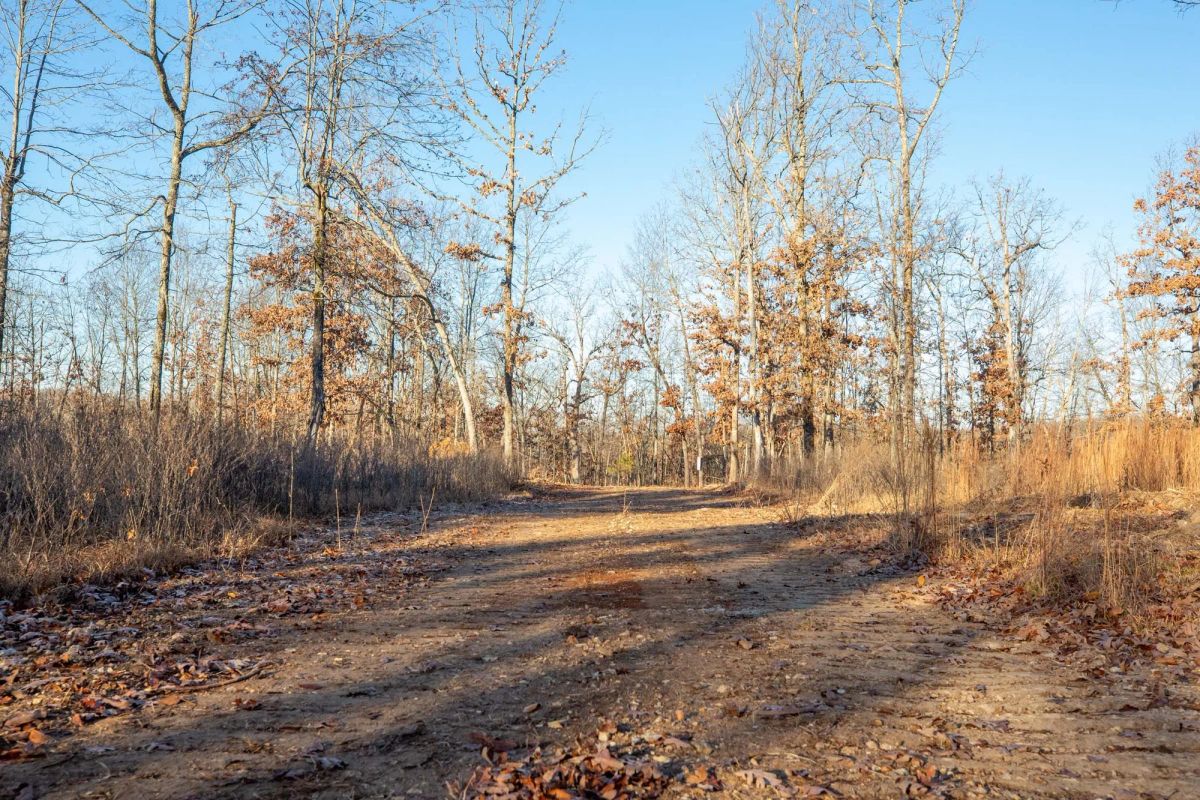 Dutchman Hollow Tract 6 - Main image