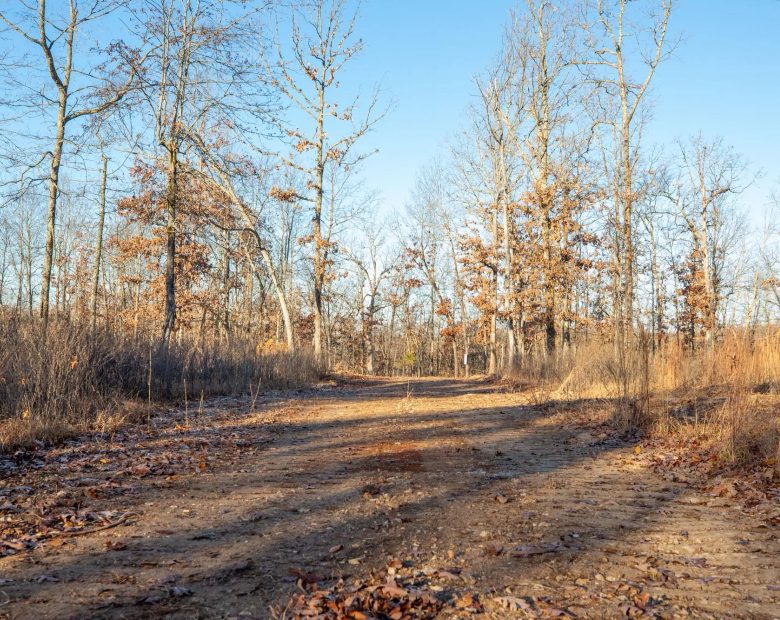 Dutchman Hollow Tract 6 in Fulton County, AR