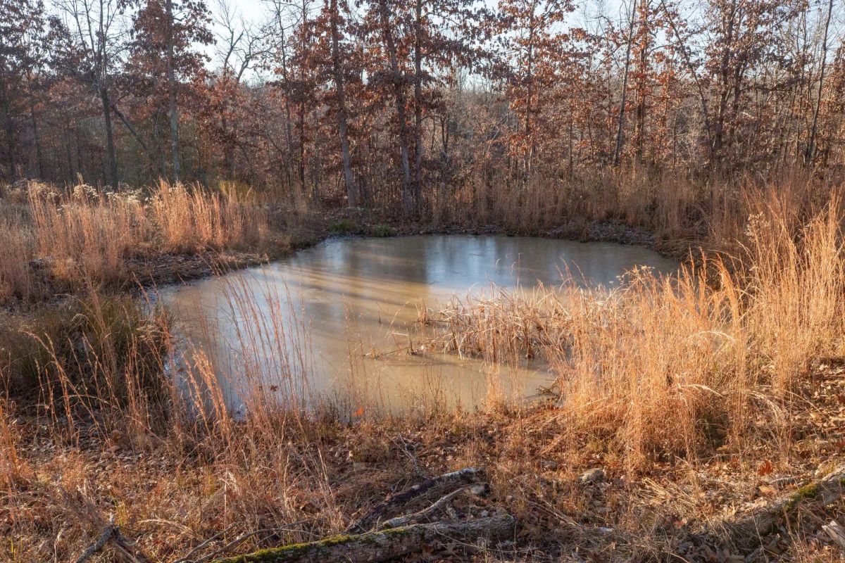 Dutchman Hollow Tract 6 - Image 2