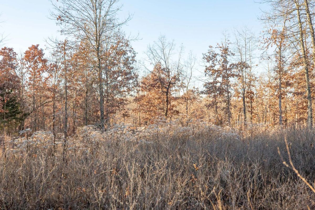 Dutchman Hollow Tract 6 - Image 3