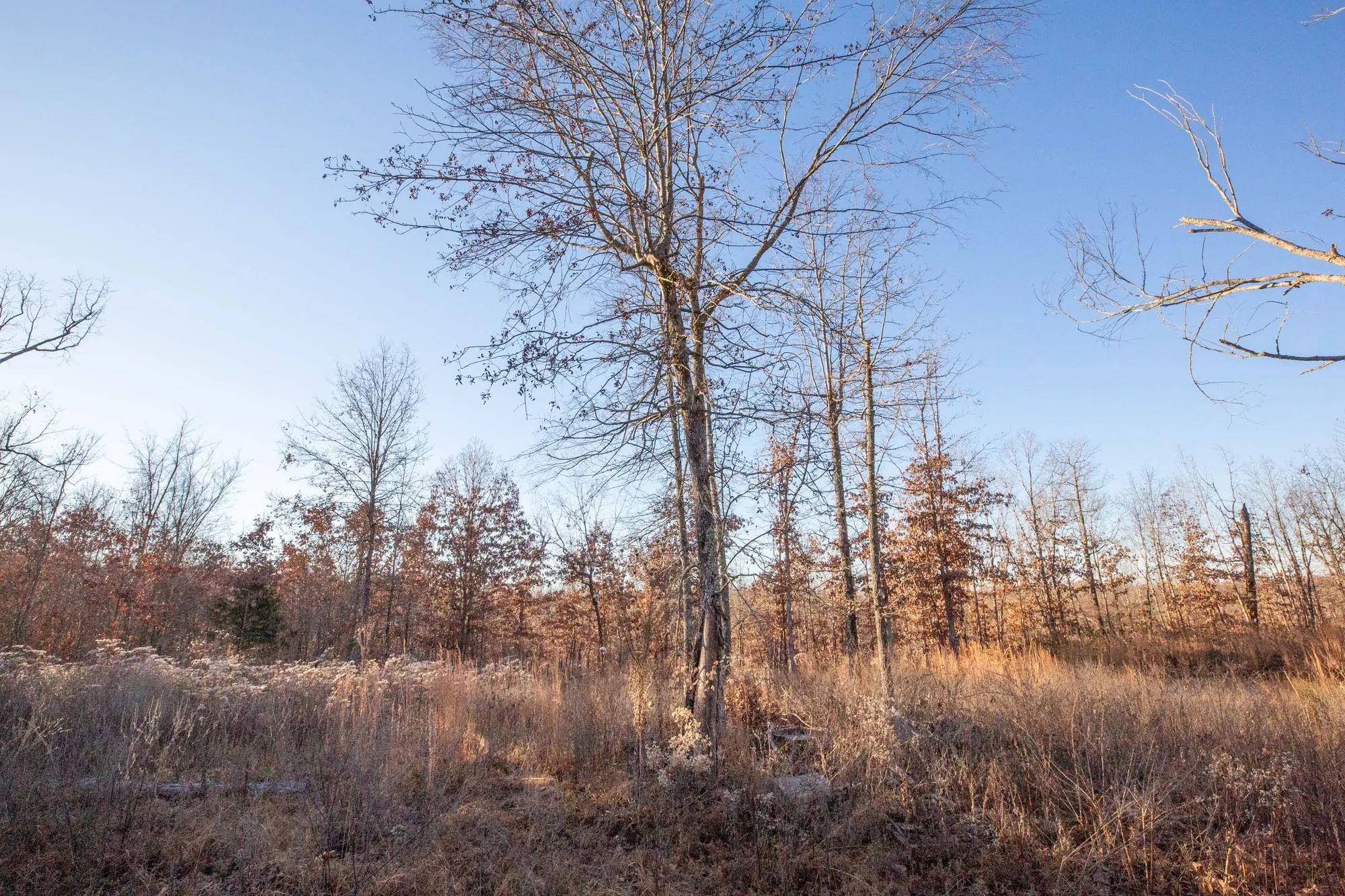 Dutchman Hollow Tract 6 in Fulton County, AR