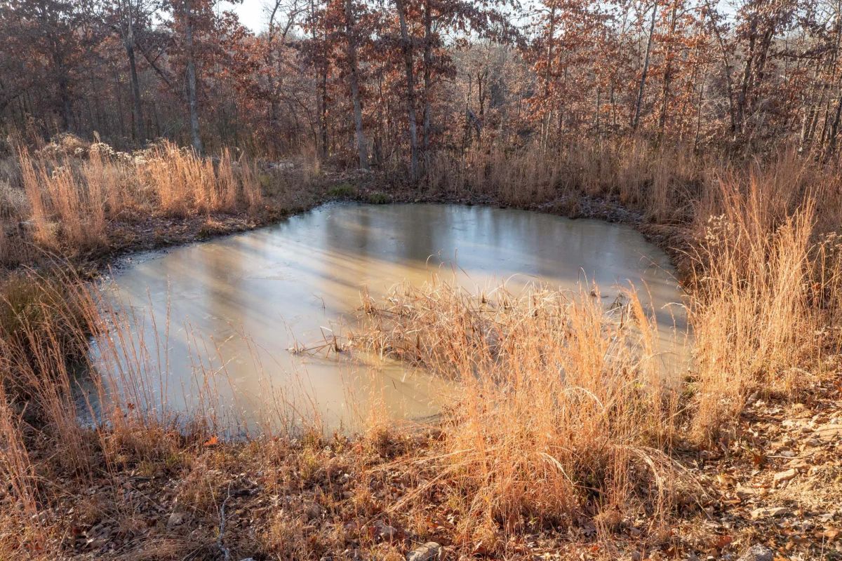 Decorative background for Dutchman Hollow Tract 6 image 6