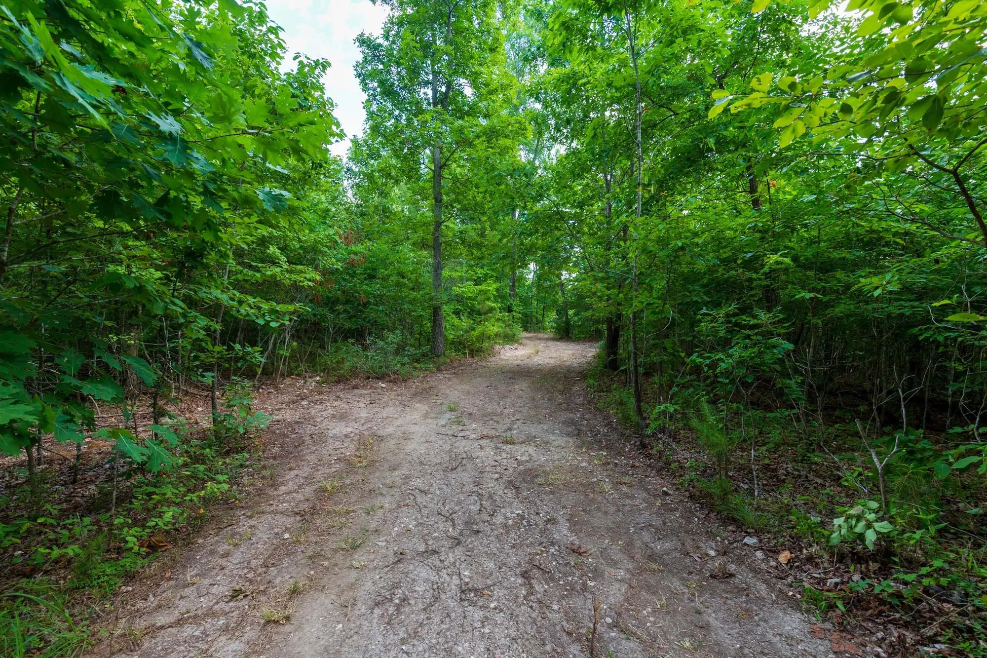 Cypress Ridge Tract 19 in Reynolds County, MO