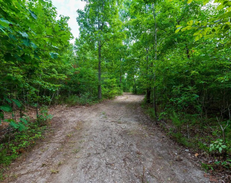 Cypress Ridge Tract 19 in Reynolds County, MO