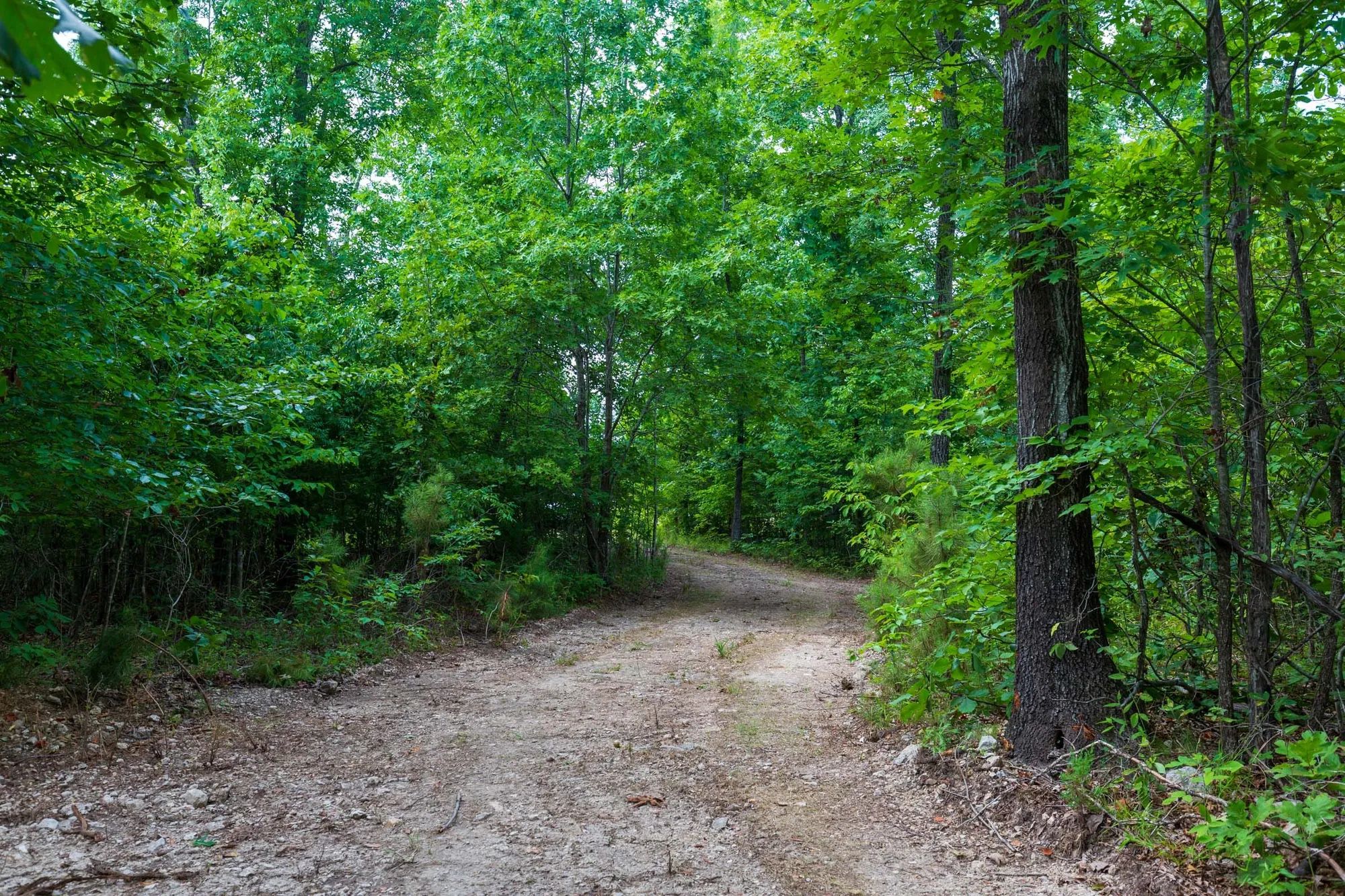 Cypress Ridge Tract 19 in Reynolds County, MO
