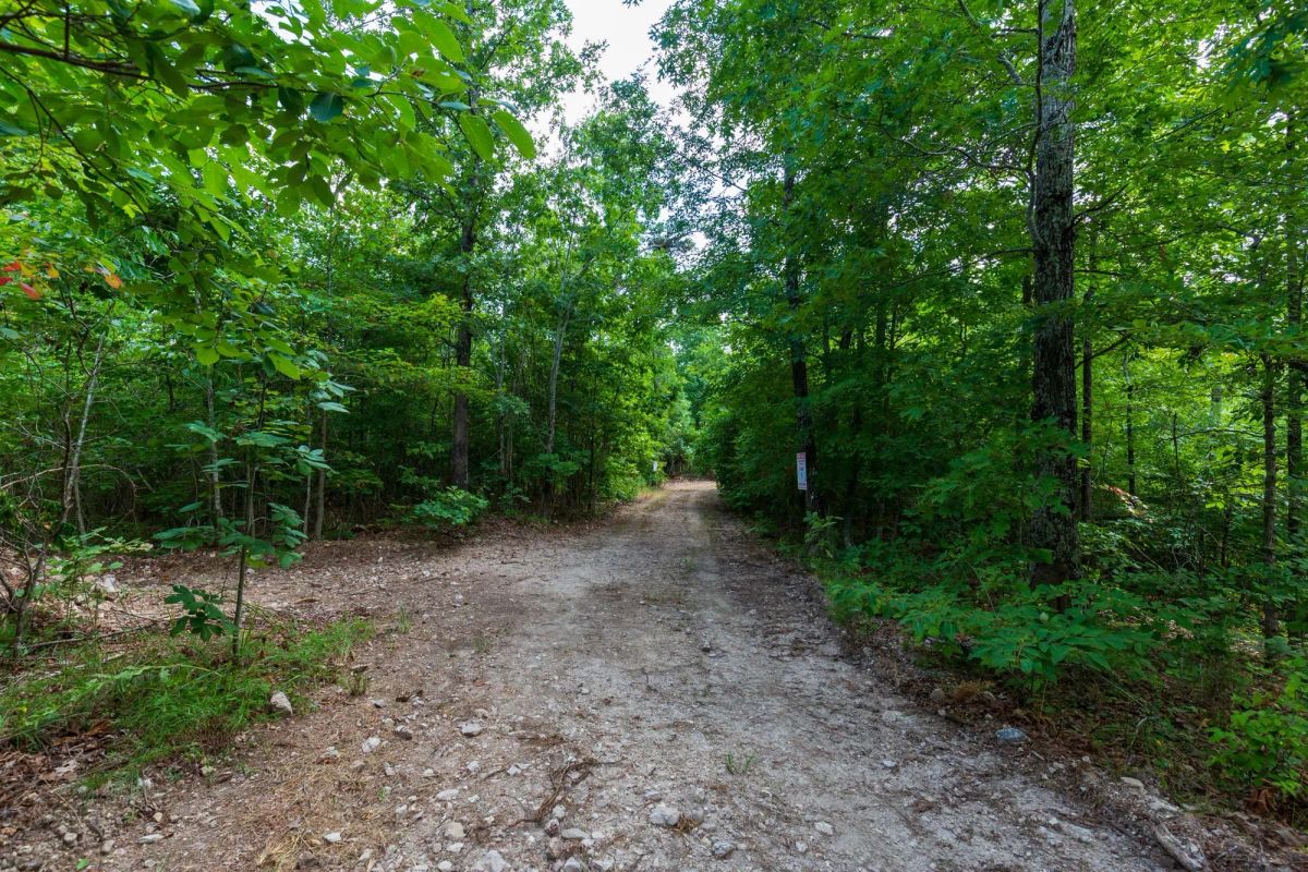 Decorative background for Cypress Ridge Tract 19 image 7