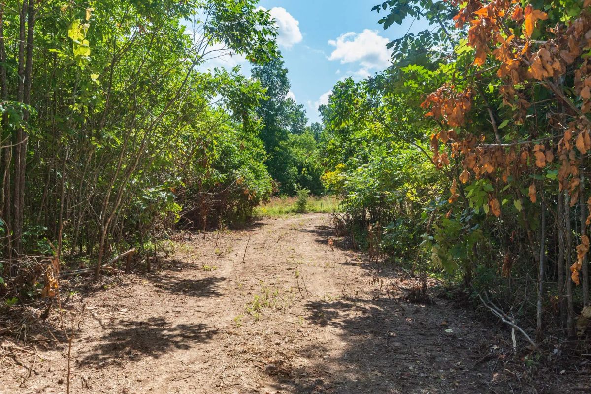 Decorative background for Cypress Ridge Tract 19 image 10