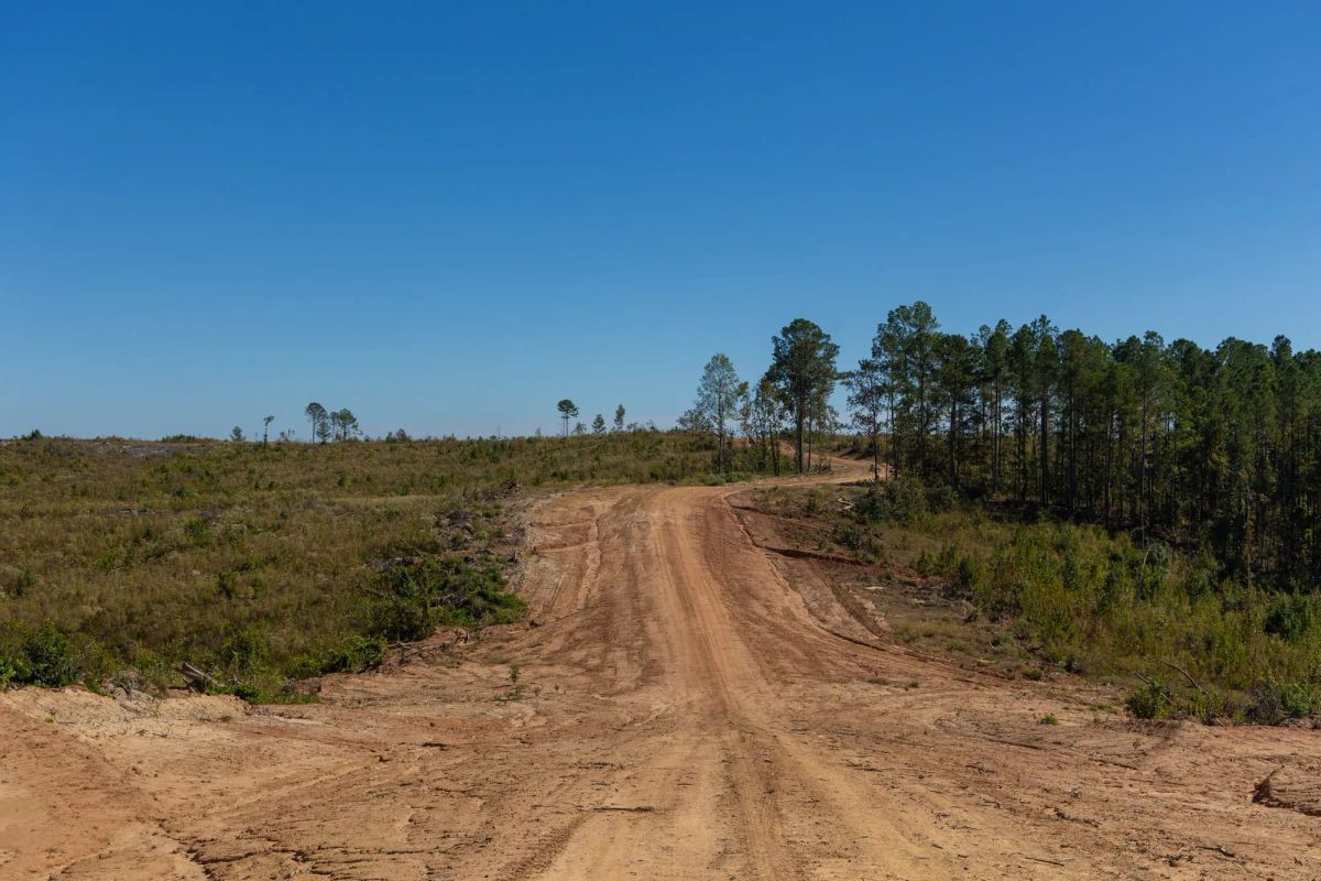 Meyer’s Ridge Tract 6 - Image 2
