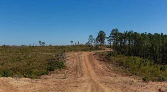 Meyer’s Ridge Tract 6 in Attala County, MS