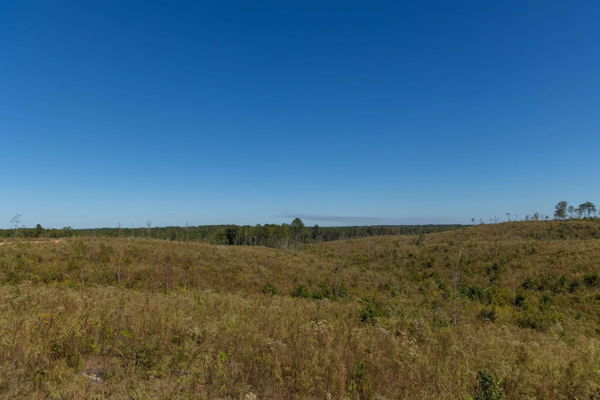 Meyer’s Ridge Tract 6 in Attala County, MS