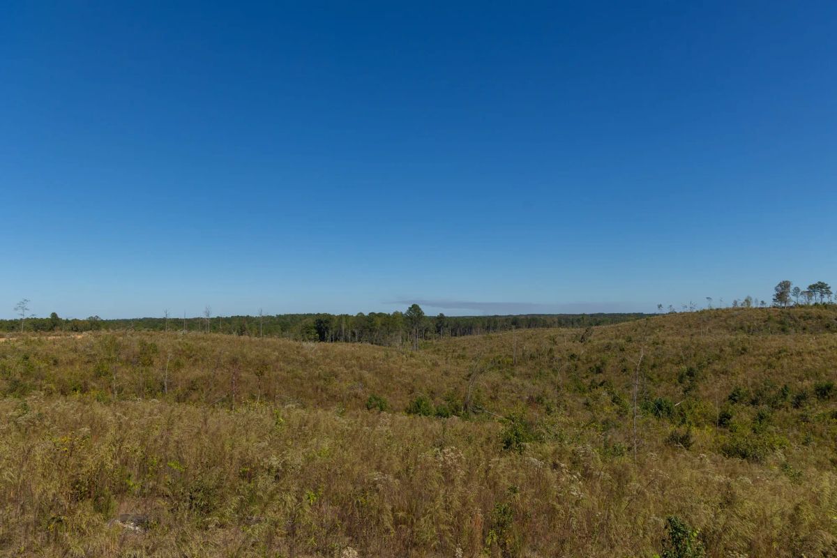 Meyer’s Ridge Tract 6 - Image 3