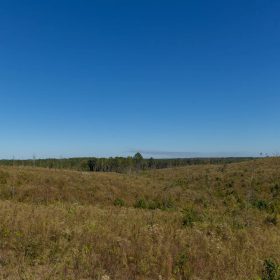 Meyer’s Ridge Tract 6 in Attala County, MS