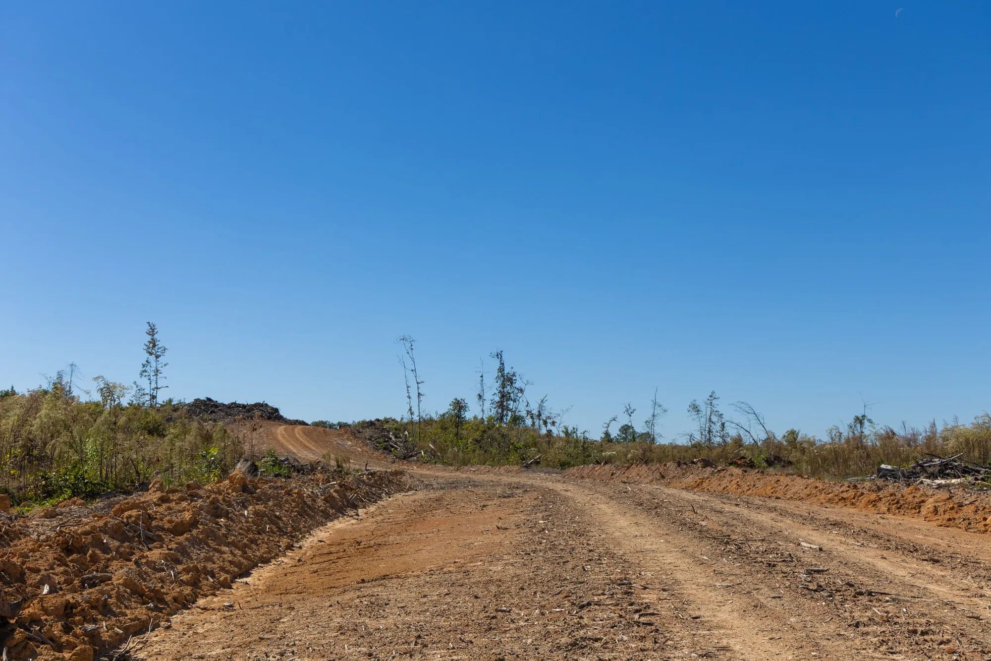 Meyer’s Ridge Tract 6 in Attala County, MS