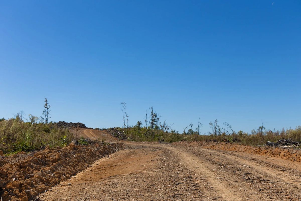Meyer’s Ridge Tract 6 - Image 4