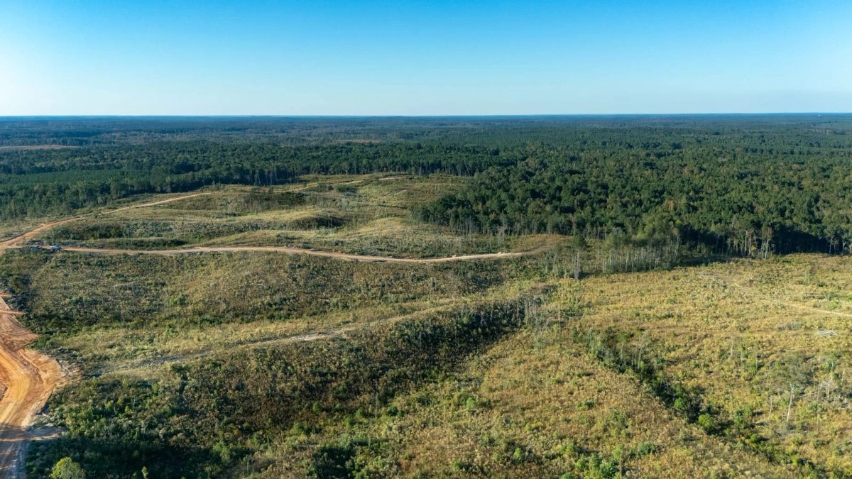 Decorative background for Meyer’s Ridge Tract 6 image 5