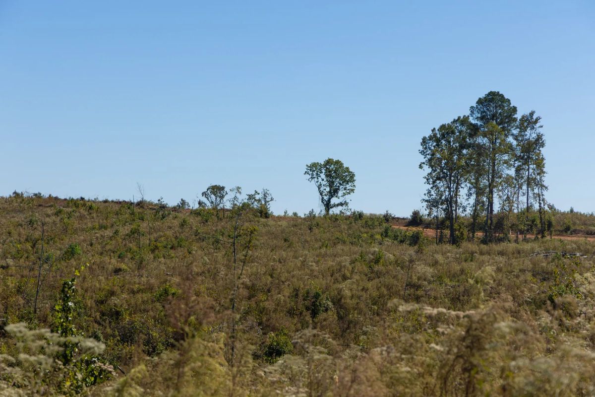 Decorative background for Meyer’s Ridge Tract 6 image 6
