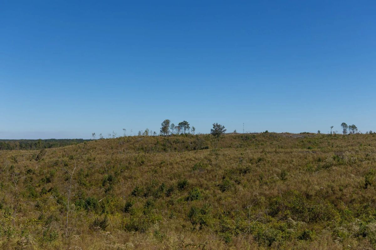 Decorative background for Meyer’s Ridge Tract 6 image 7