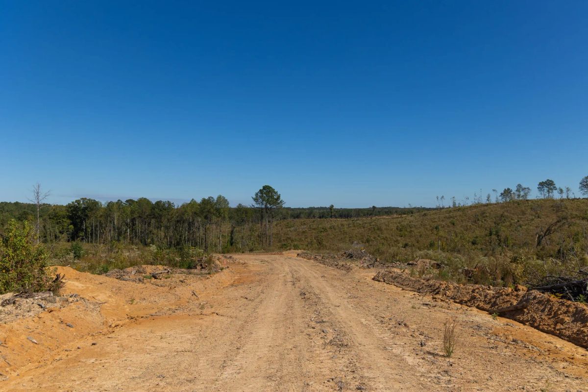 Decorative background for Meyer’s Ridge Tract 6 image 8