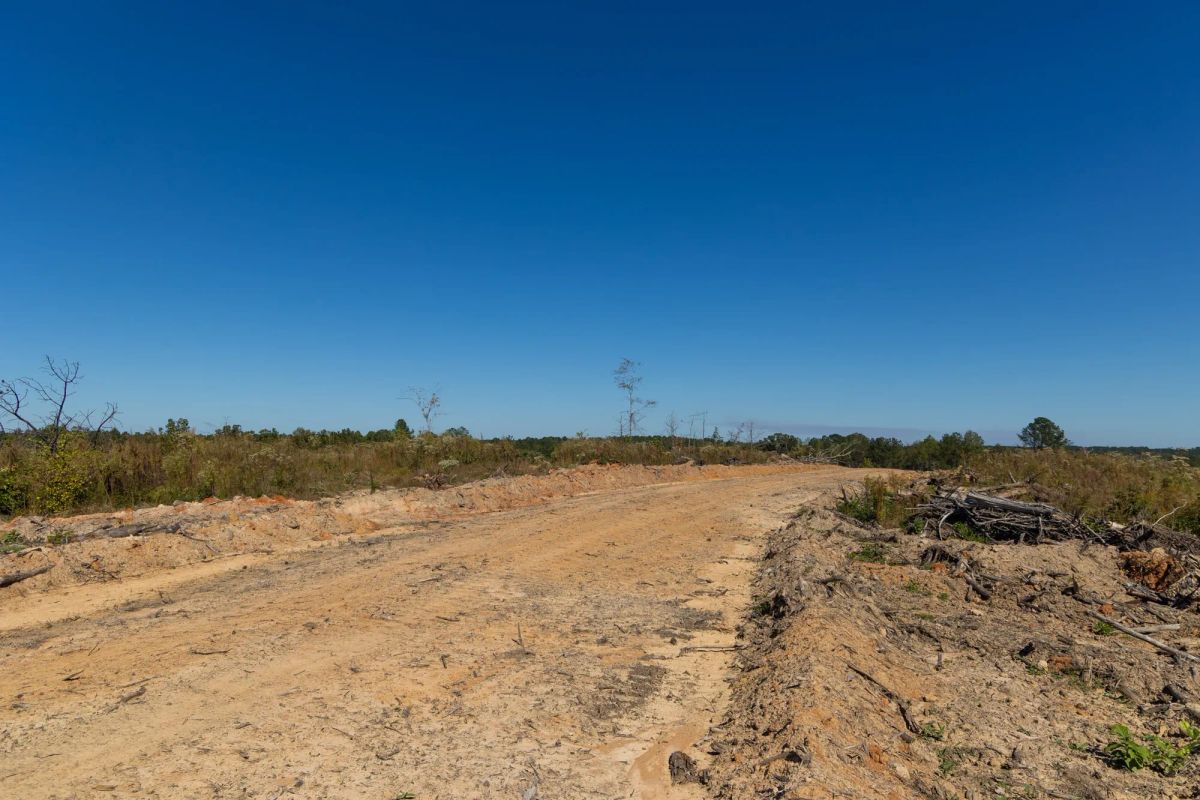Decorative background for Meyer’s Ridge Tract 6 image 10