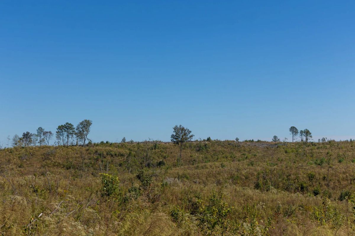 Decorative background for Meyer’s Ridge Tract 6 image 12